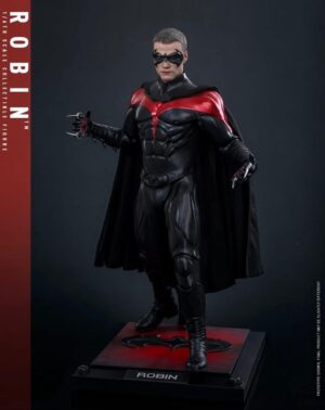 Hot Toys MMS787 Batman & Robin
Robin
1/6th scale Collectible Figure