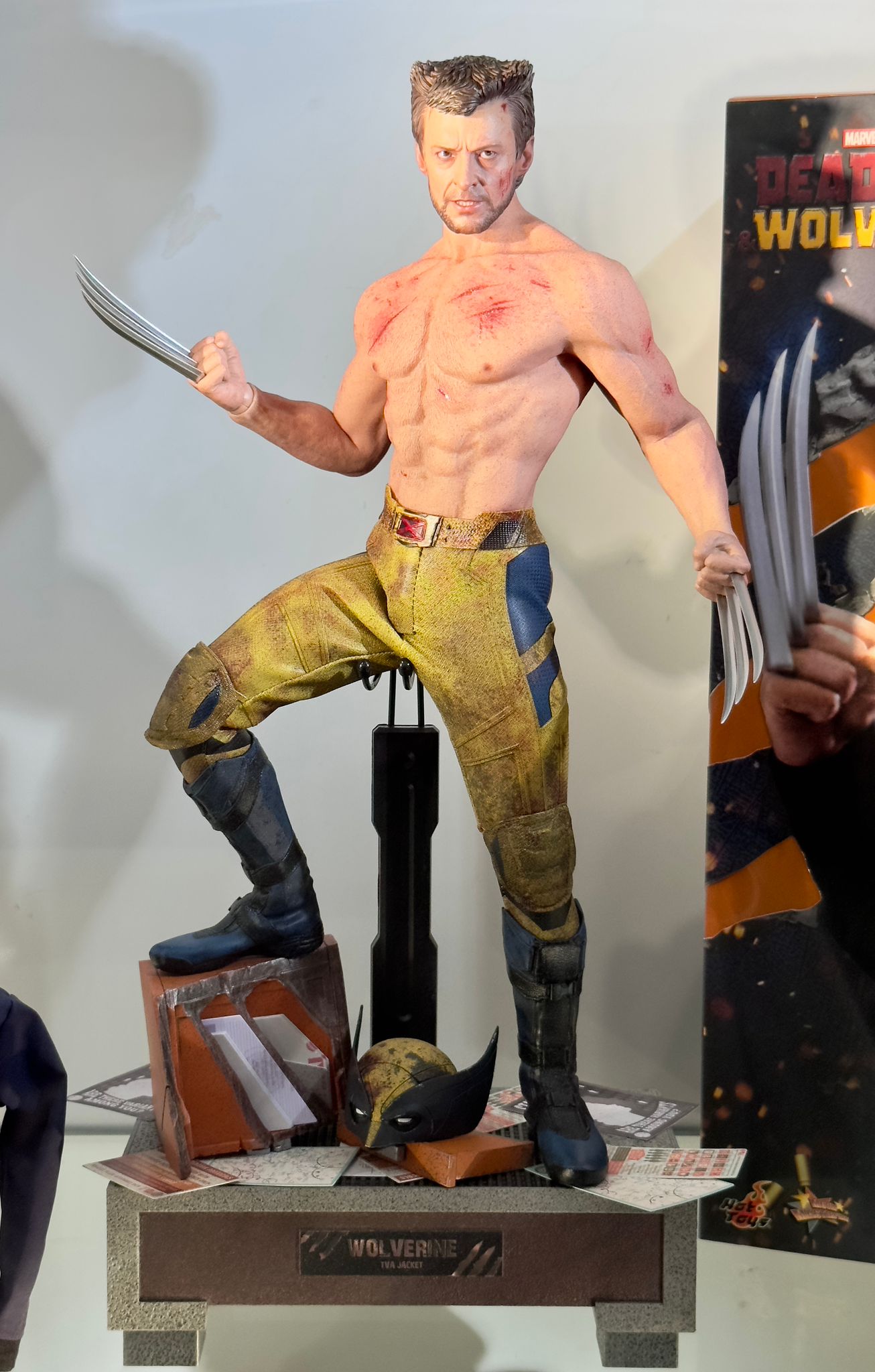 Hot Toys MMS756 Deadpool & Wolverine
Wolverine (TVA Jacket)
1/6th scale Collectible Figure - Image 4