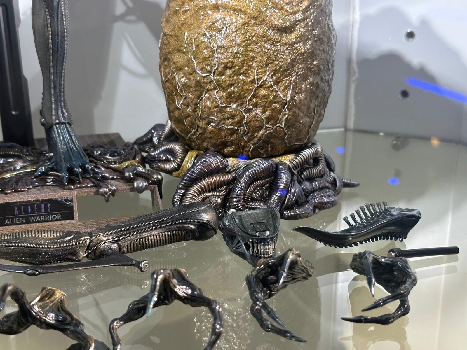 Hot Toys MMS899 Aliens
Alien Warrior (Deluxe Version)
1/6th scale Collectible Figure - Image 5