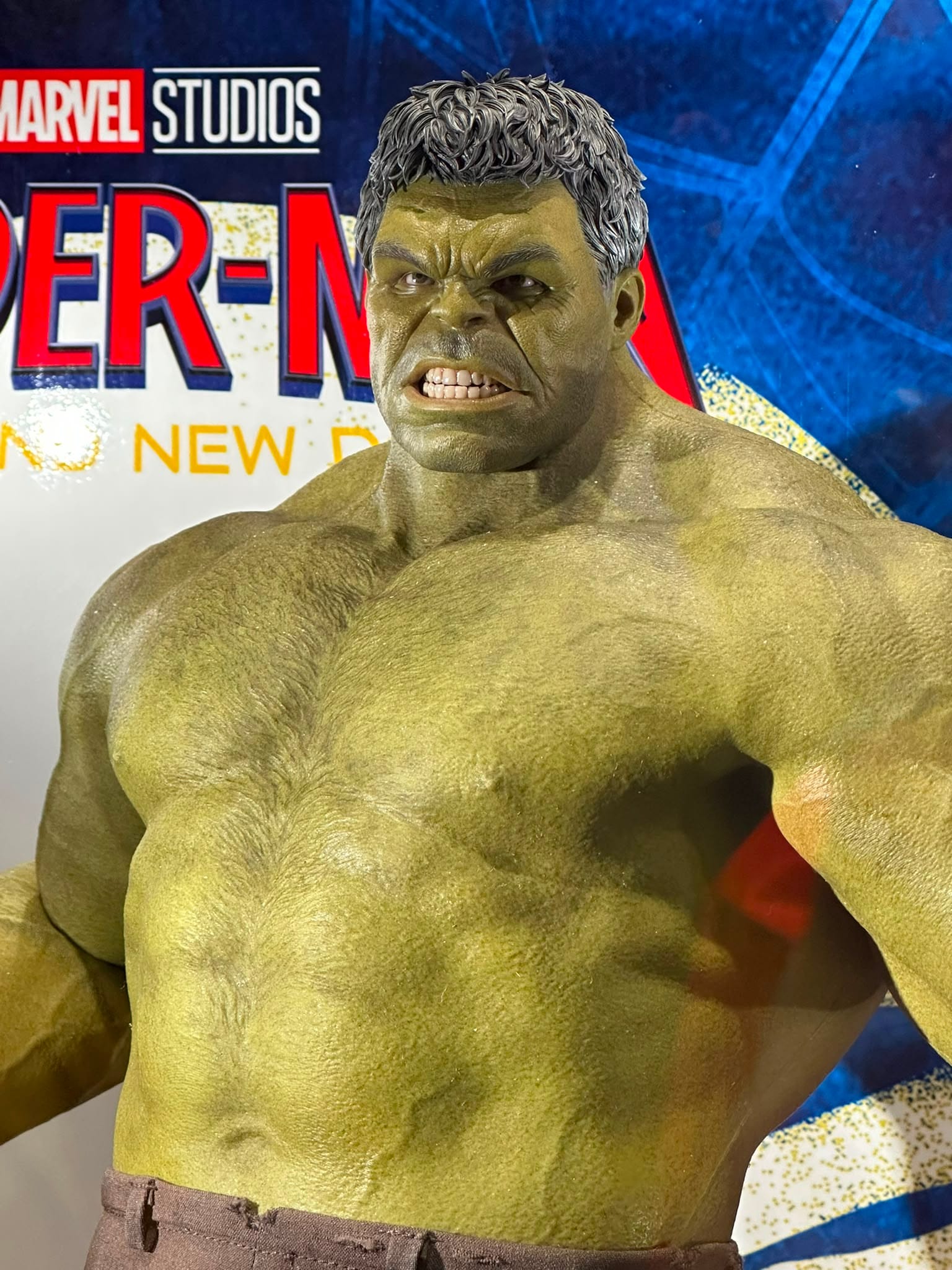 Hot Toys MMS905 Spider-Man: Brand New Day
Hulk
1/6th scale Collectible Figure